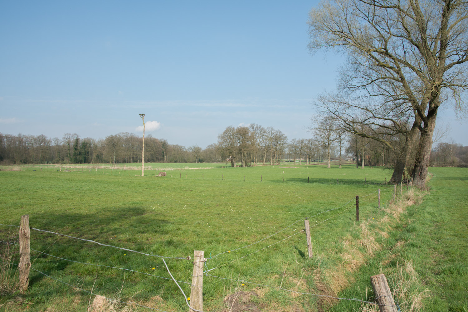 15. Ooievaarsnest