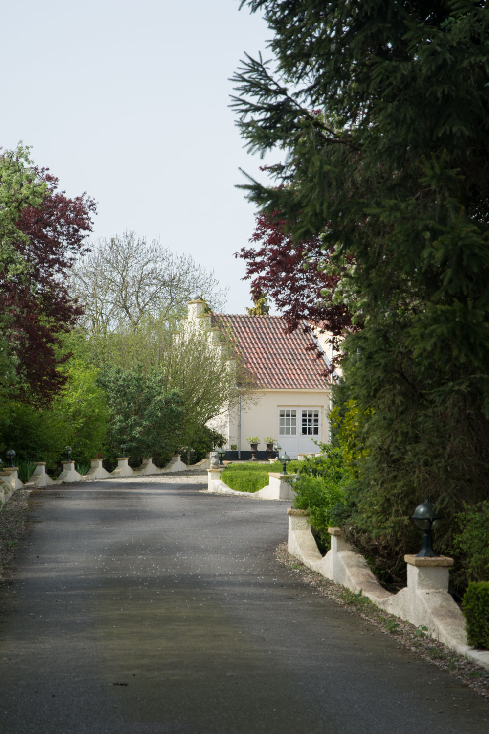 17. Pand