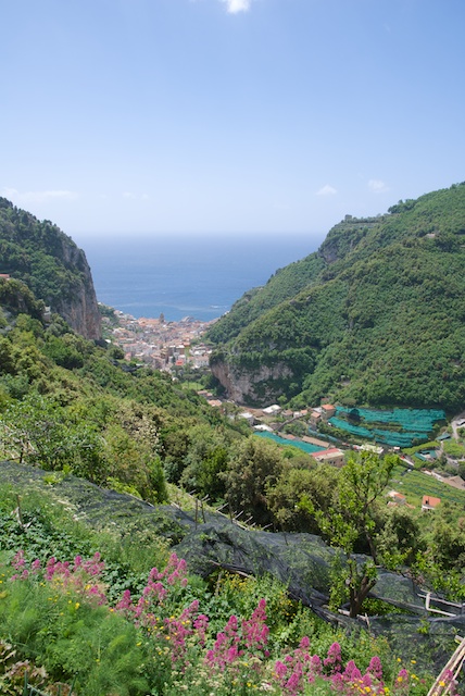 177. Amalfi