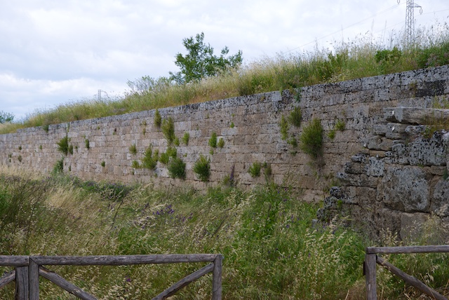 217. Muur