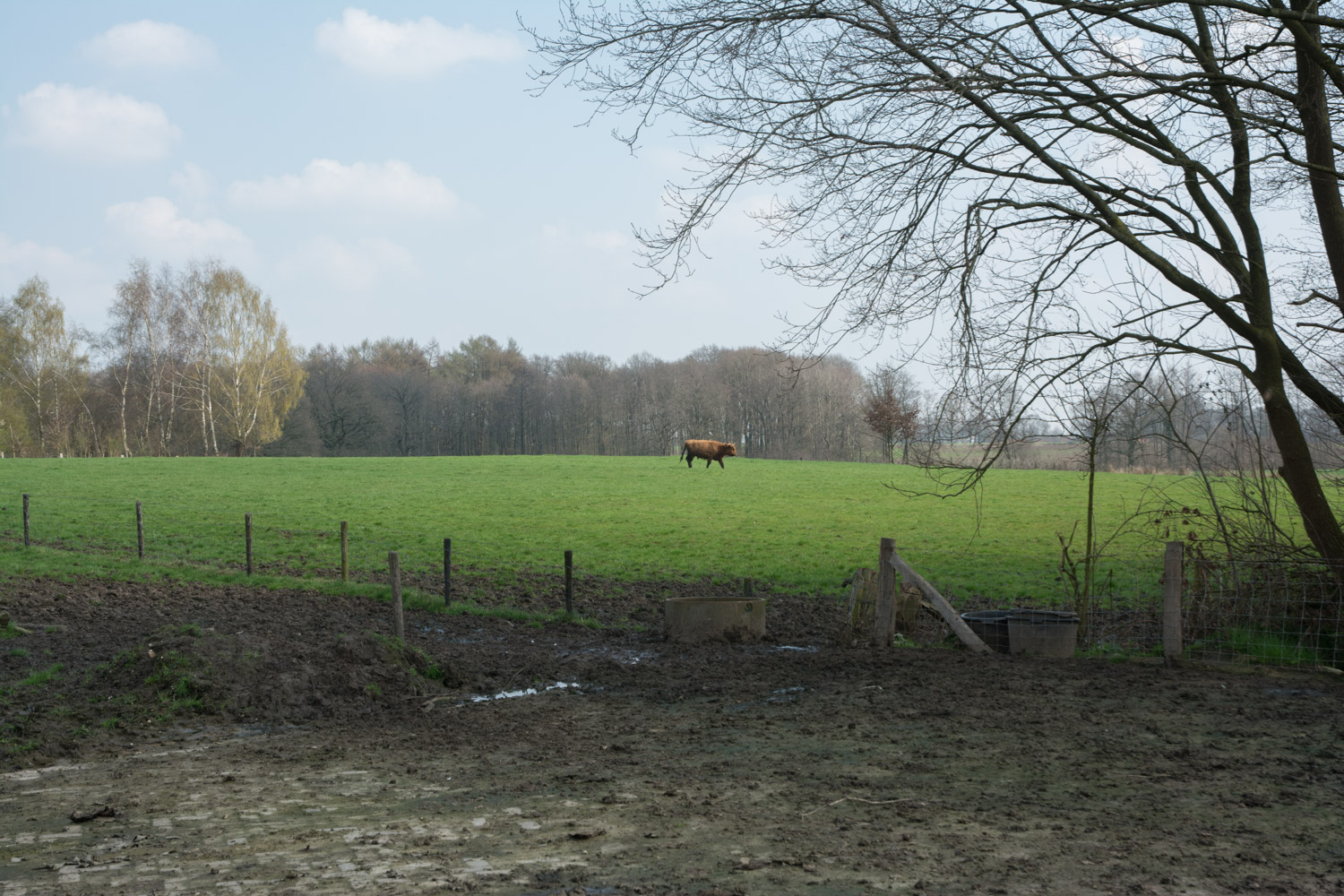 25. Landelijk