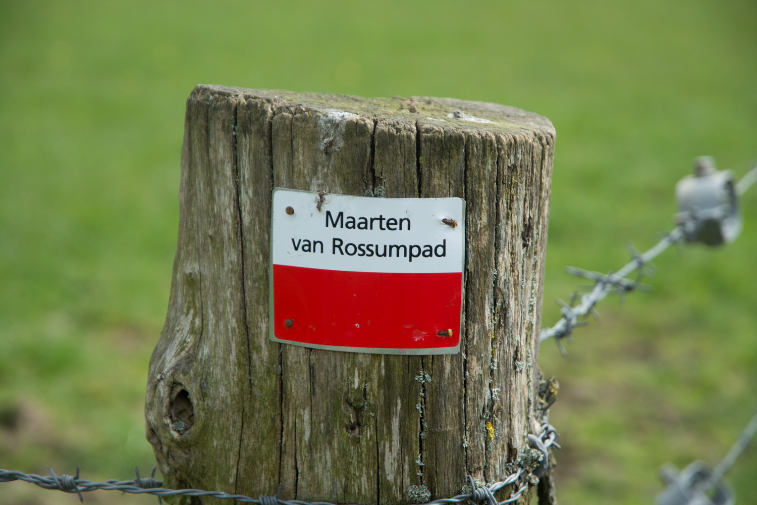 28. Maarten