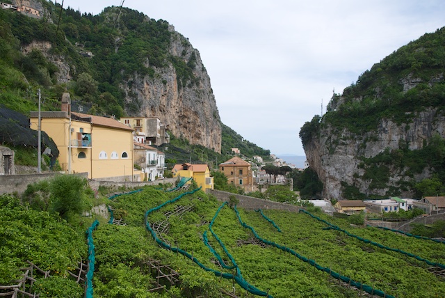 308. Amalfi