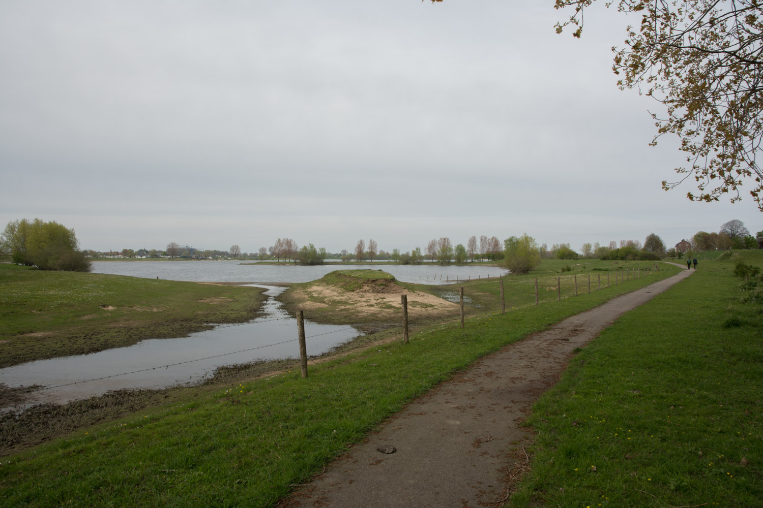 48. Maas