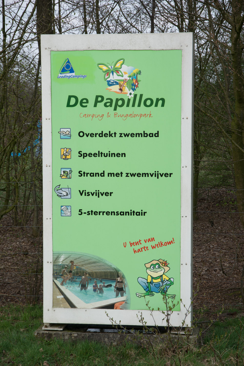 79. Papillon