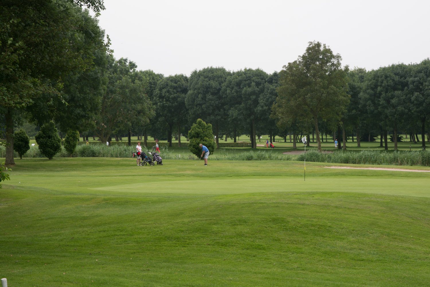 12. Golfbaan