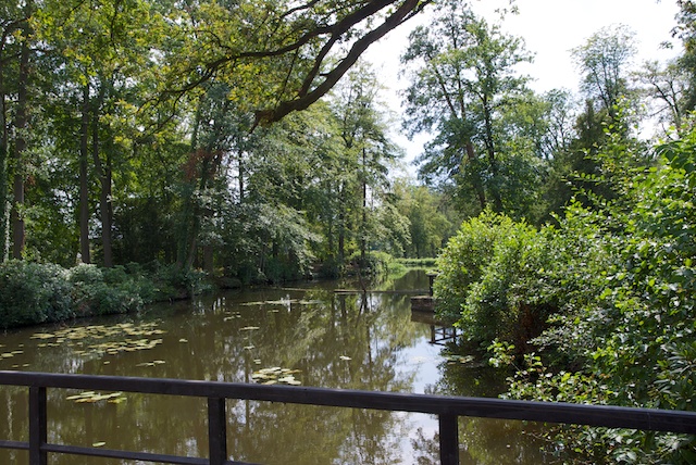 13. Vijver