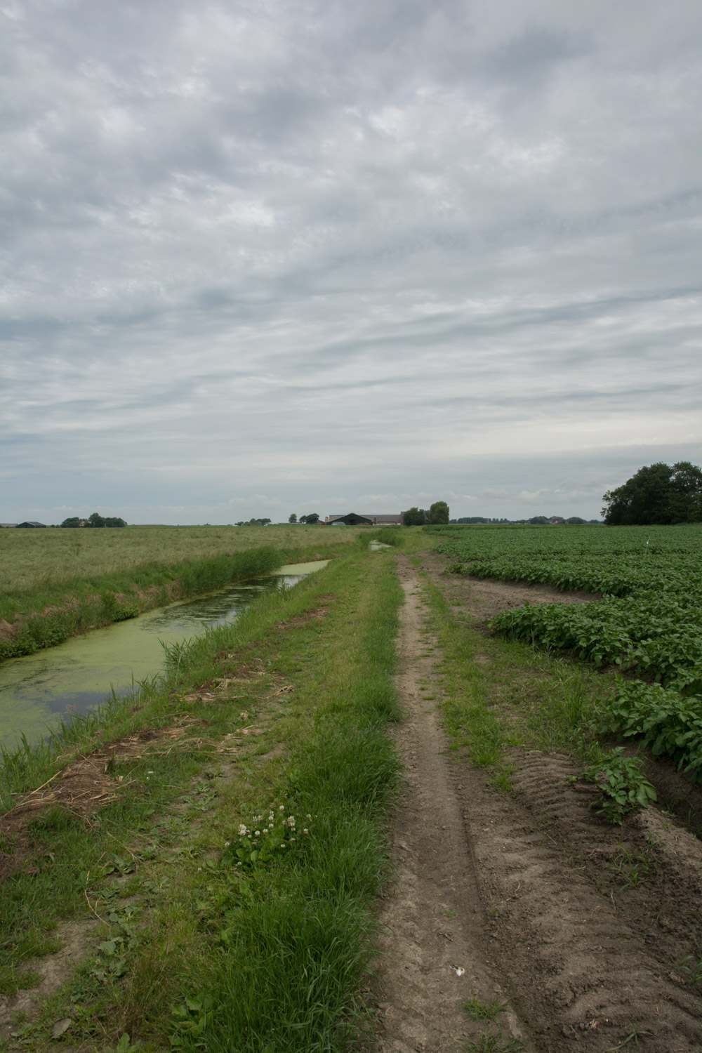 16. Boerenkarweg