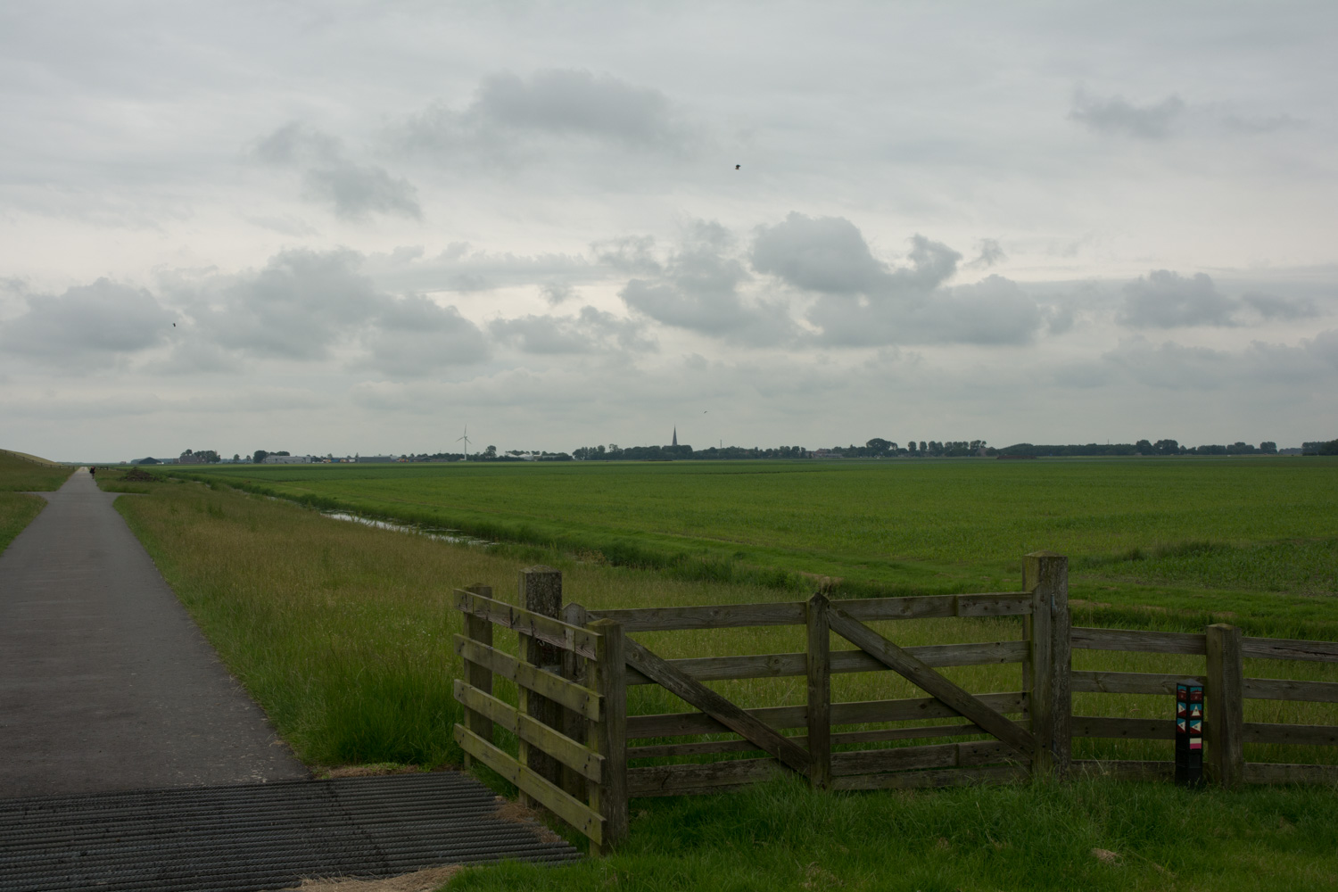 19. Dijk