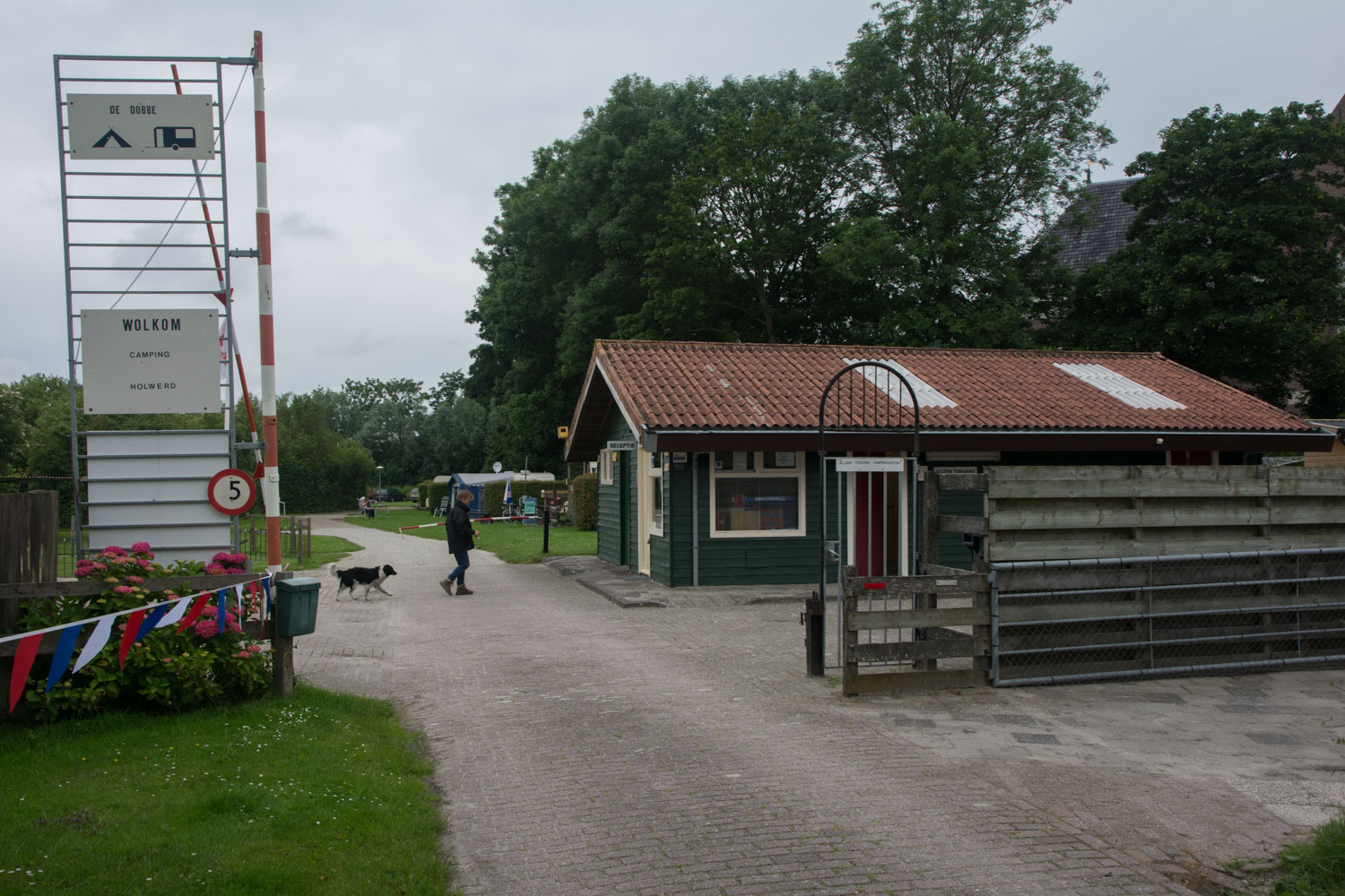 23. Camping