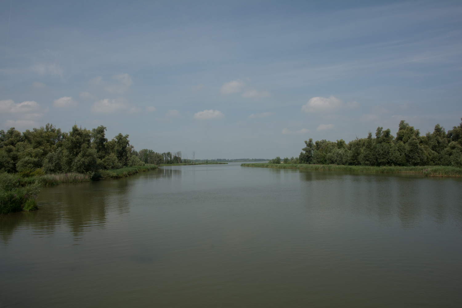 47. Biesbosch