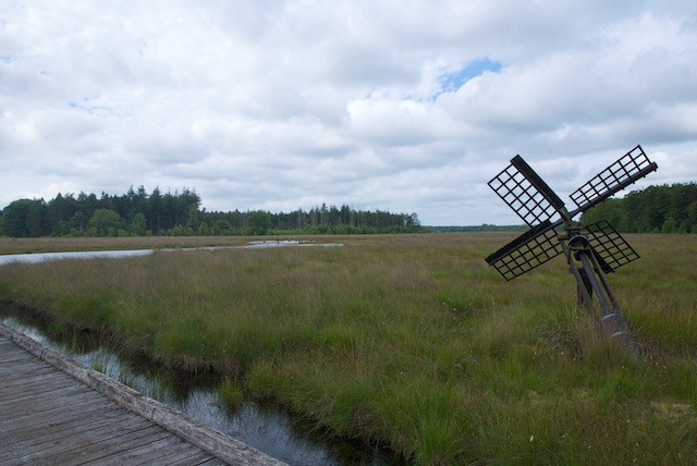 48. Molen