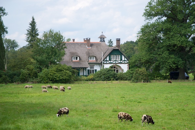 6. Huis