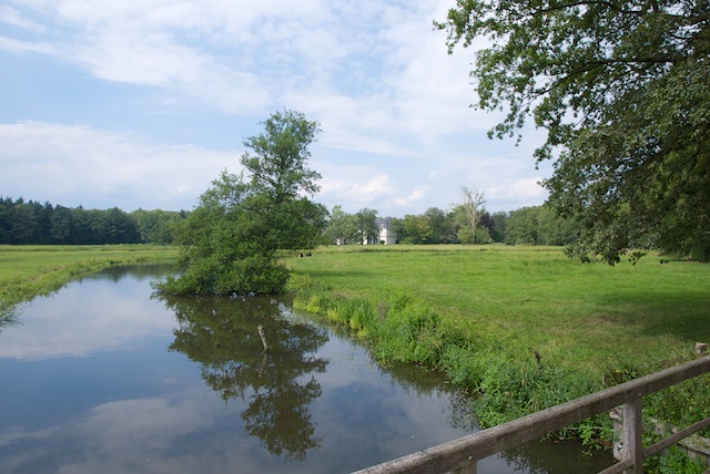 7. Singraven