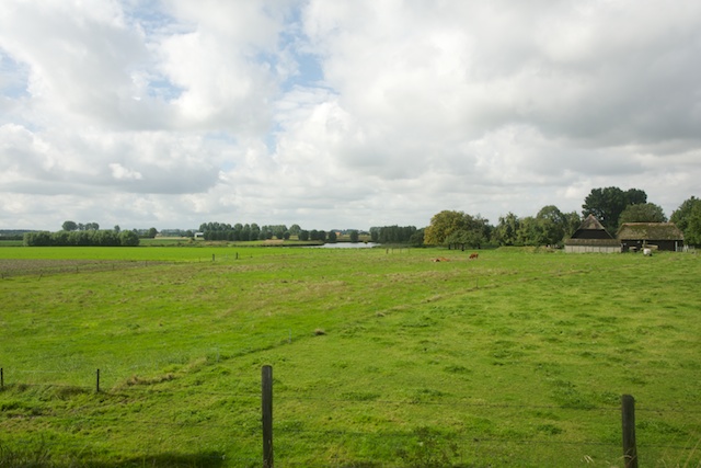 100. Loven polder