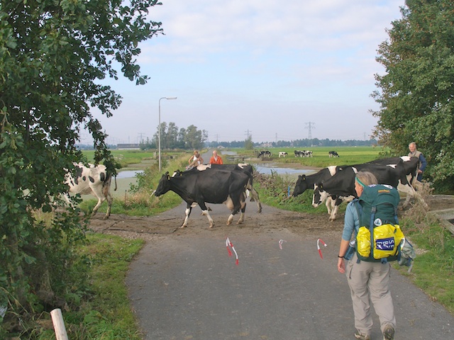 101. Verweiden