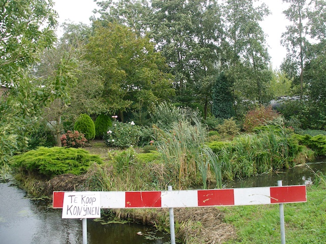 16. Konijnen