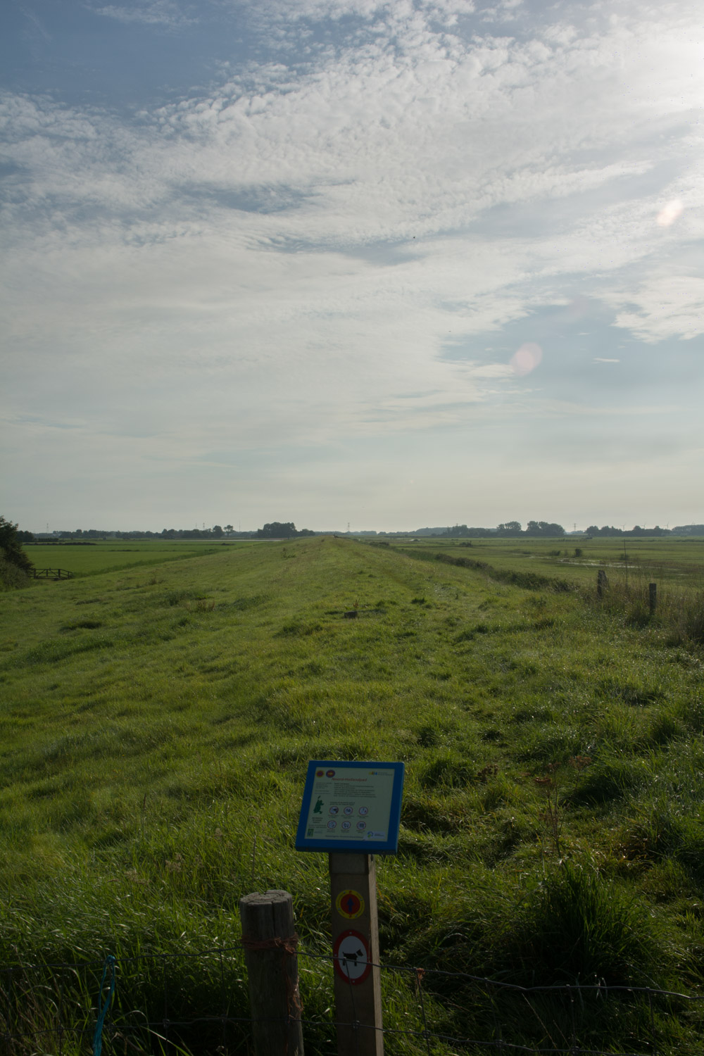 35-grasdijk