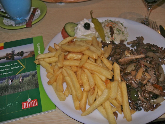 38. Gyros