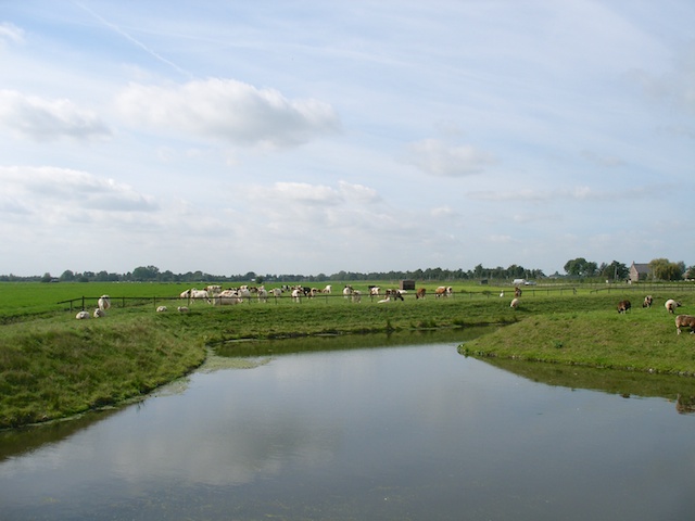 69. Polsbroek