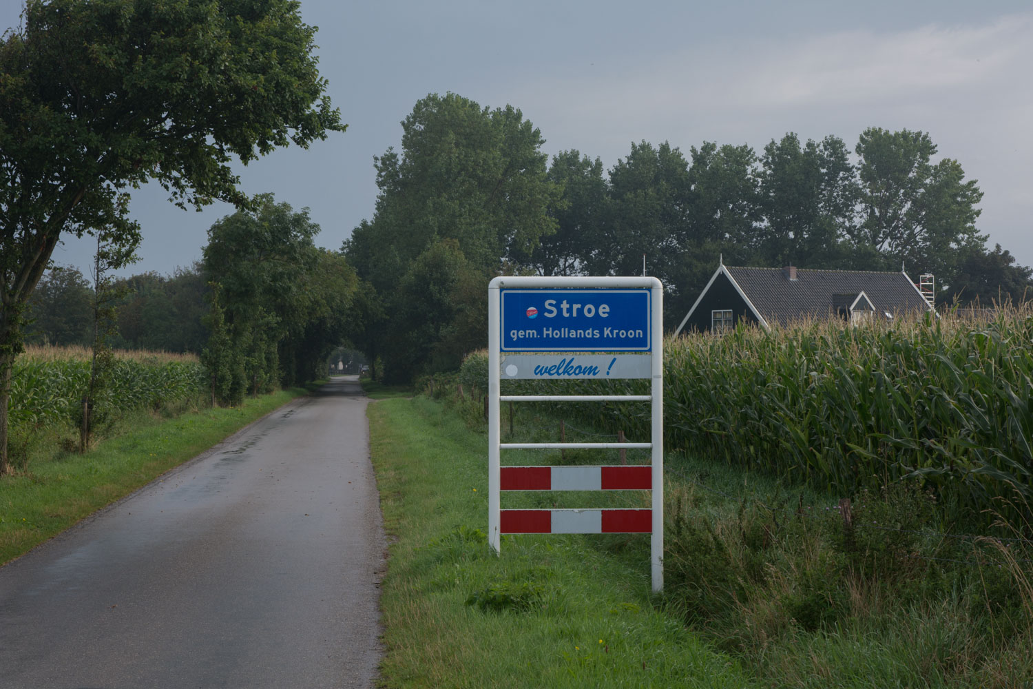 79-stroe