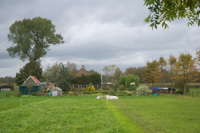 014. Hobbyboerderij