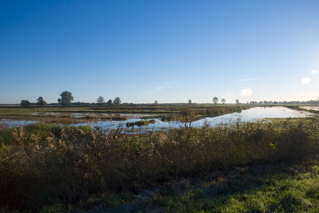 077. Lokkenpolder