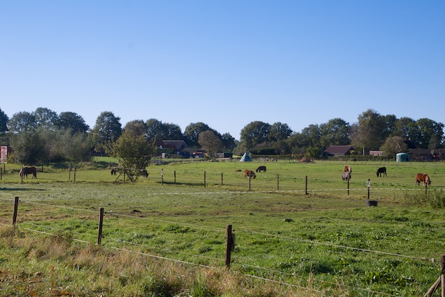 092. Paarden