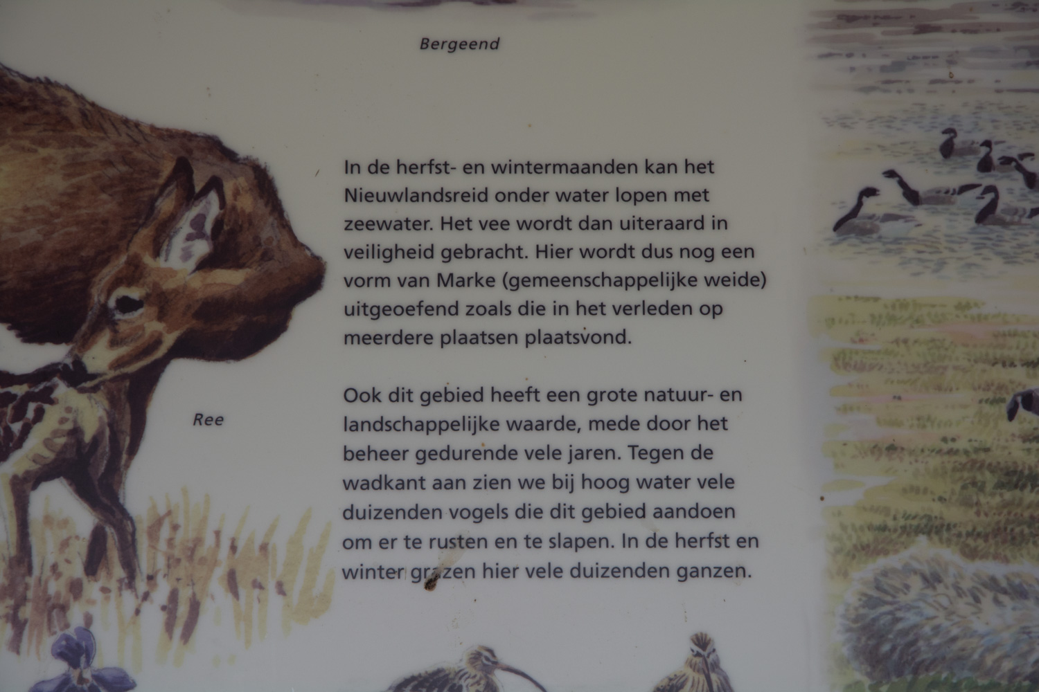 114-het-oerd