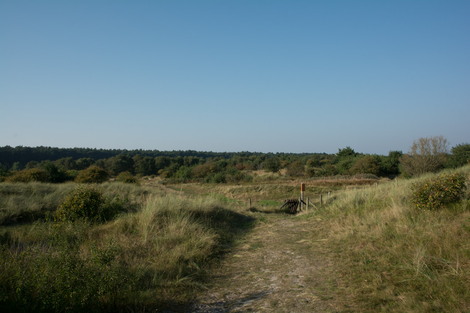 19-duinen