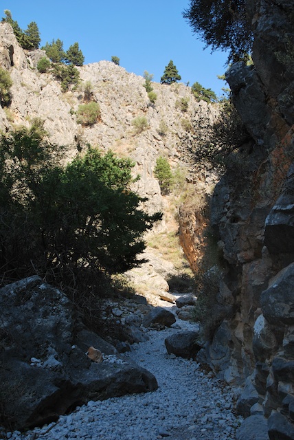 213. Imbros