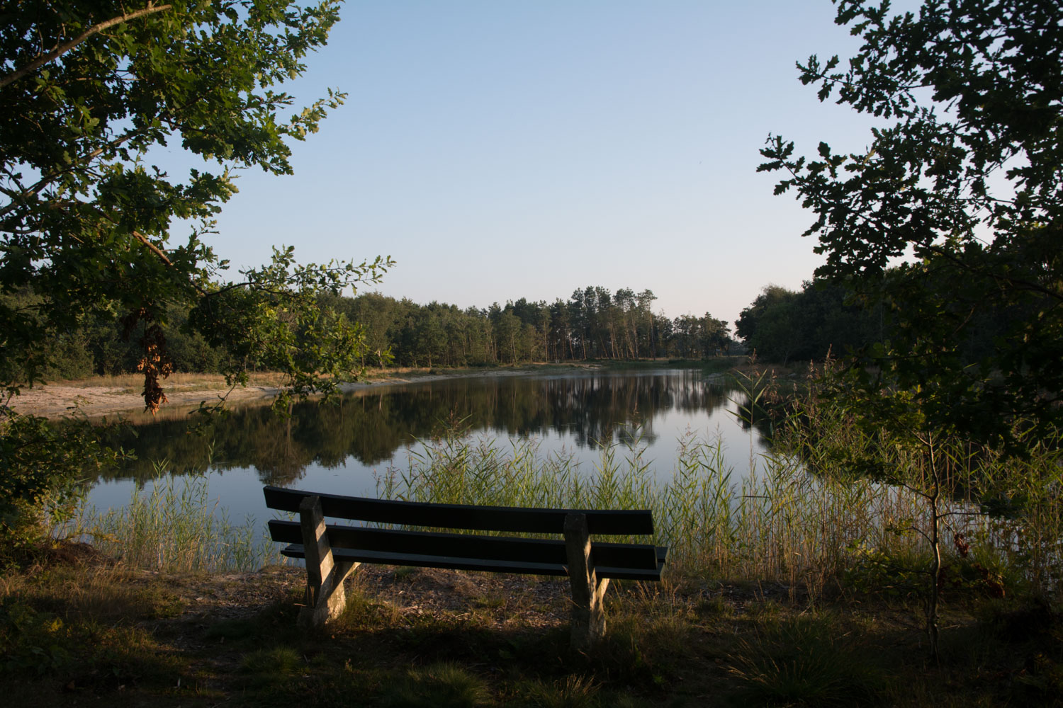 22-duinmeer