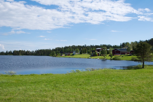 286. Landschap