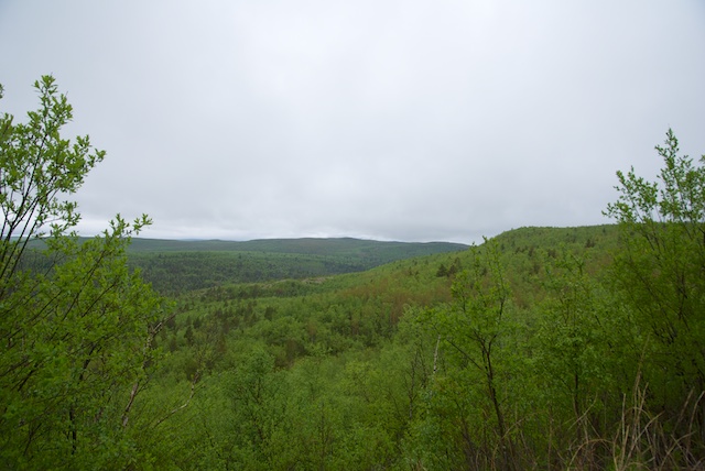 323. Landschap