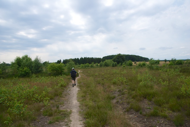 48. Kootwijker zand