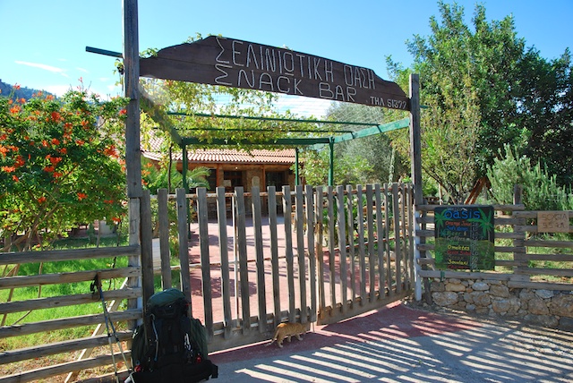 51. Restaurant