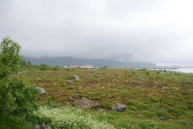 525. Landschap