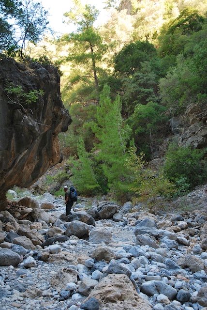 53. Irini