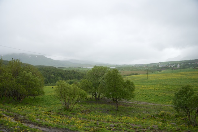 544. Buiten