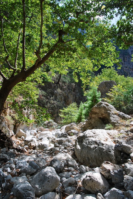 62. Irini