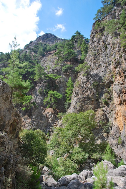 64. Irini