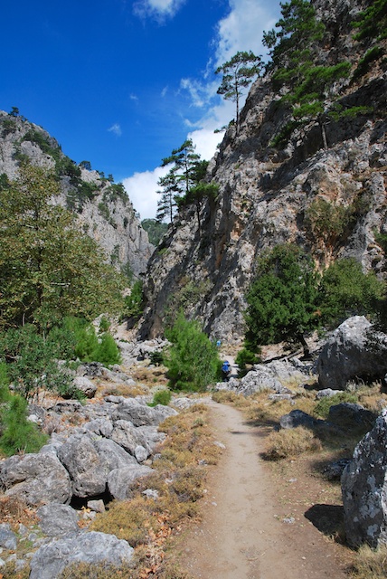 66. Vlak