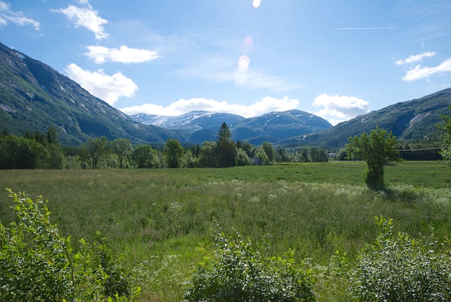 690. Landschap