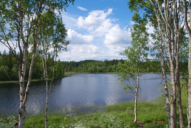 712. Landschap