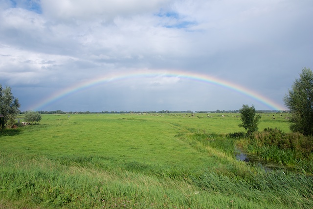 102. Regenboog