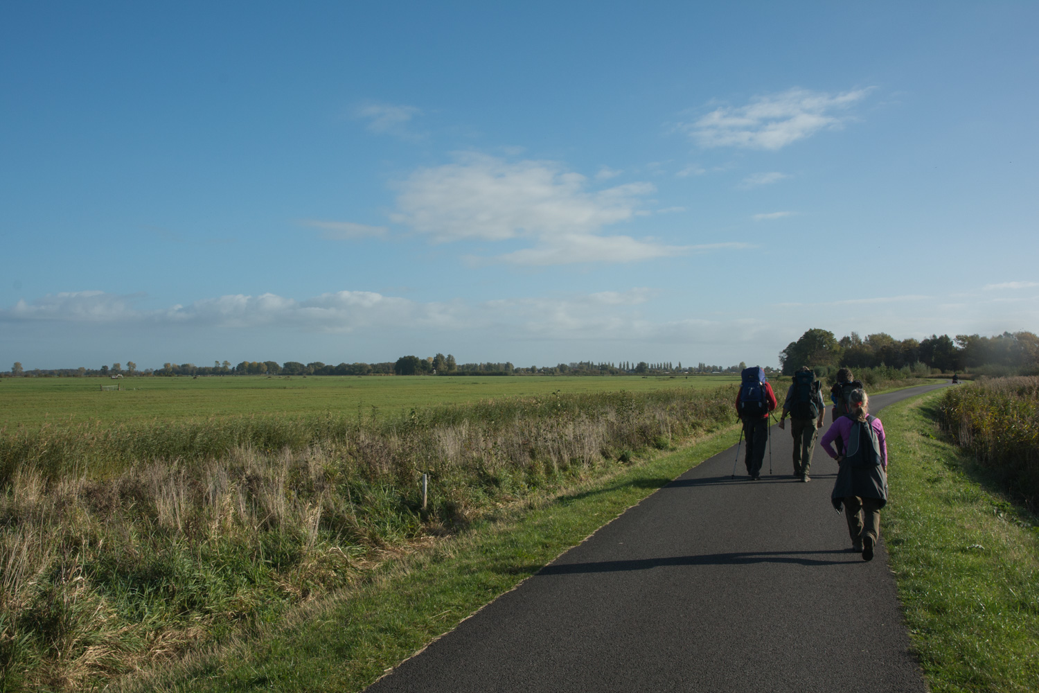 11-landelijk