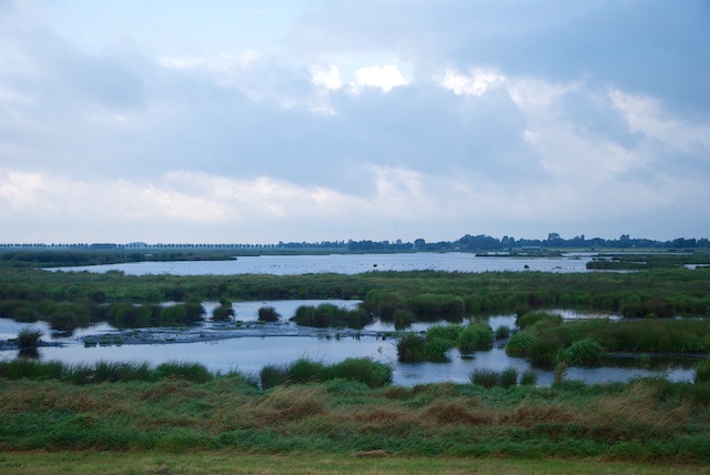 113. Veen