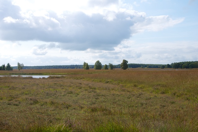 12. Duurswouderheide