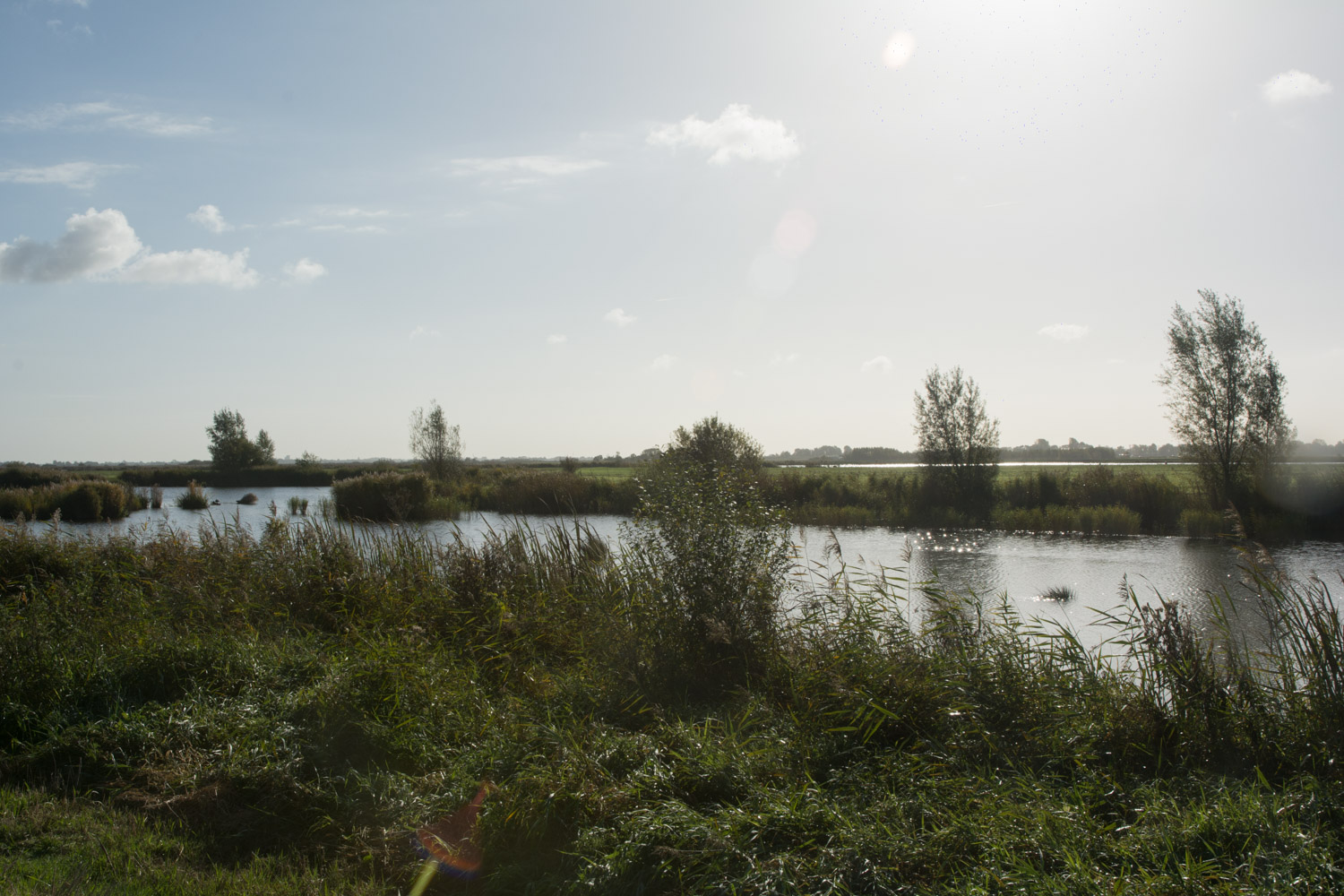 12-landelijk