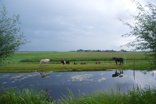123. Groene Hart